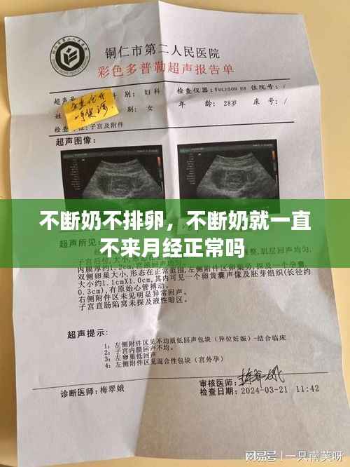 不断奶不排卵,不断奶就一直不来月经正常吗