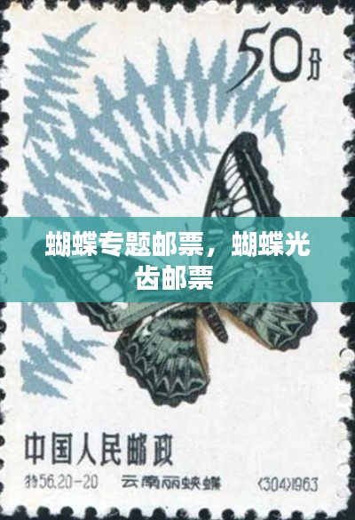 蝴蝶专题邮票,蝴蝶光齿邮票