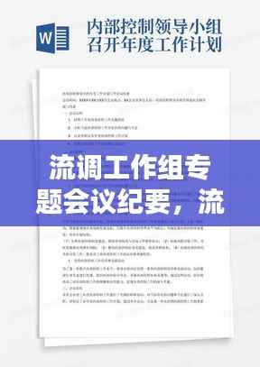 流调工作组专题会议纪要,流调工作方案