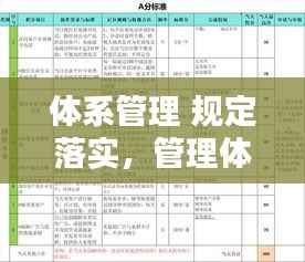 体系管理 规定落实，管理体系实施方案 