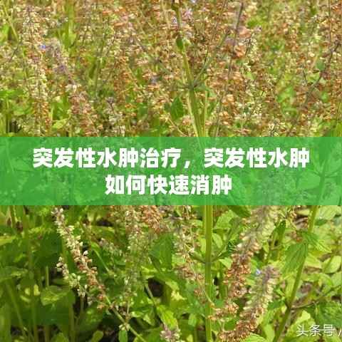 突发性水肿治疗,突发性水肿如何快速消肿