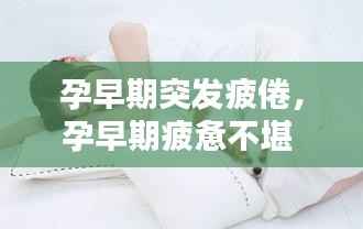 孕早期突发疲倦，孕早期疲惫不堪 