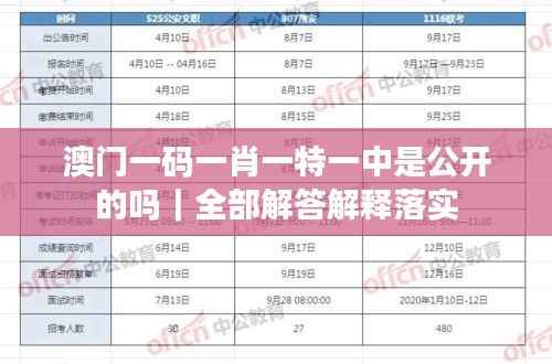 澳门一码一肖一特一中是公开的吗|全部解答解释落实