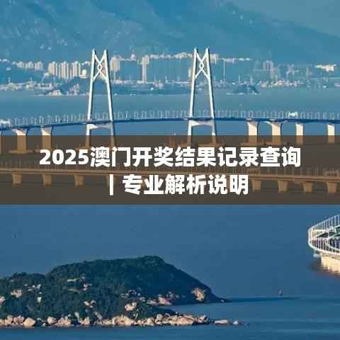2025澳门开奖结果记录查询|专业解析说明