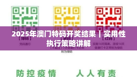 2025年澳门特码开奖结果｜实用性执行策略讲解