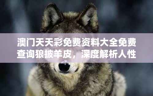 澳门天天彩免费资料大全免费查询狼披羊皮,深度解析人性伪装术
