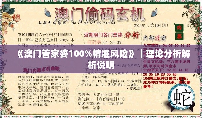《澳门管家婆100%精准风险》|理论分析解析说明