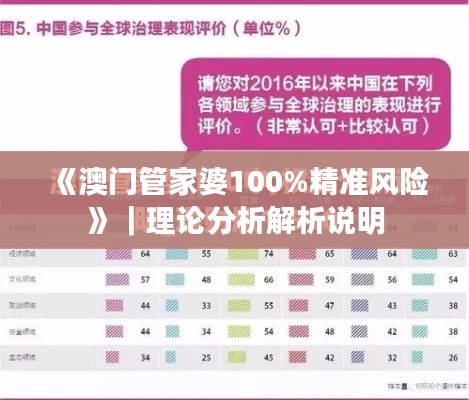 《澳门管家婆100%精准风险》|理论分析解析说明