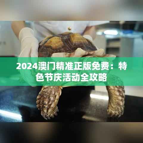 2024澳门精准正版免费：特色节庆活动全攻略