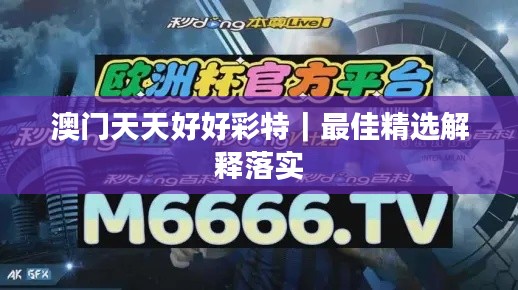 澳门天天好好彩特|最佳精选解释落实