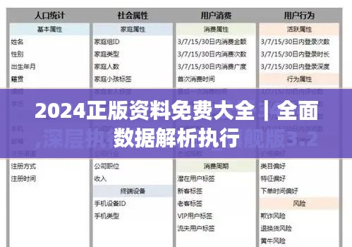 2024正版资料免费大全|全面数据解析执行