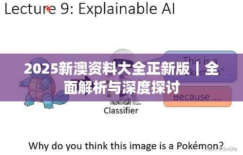 2025新澳资料大全正新版｜全面解析与深度探讨