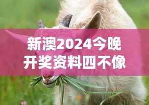 新澳2024今晚开奖资料四不像:狗、兔、羊、蛇,免费资料