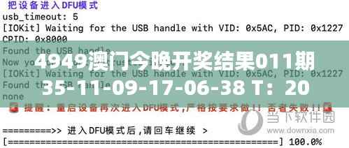 4949澳门今晚开奖结果011期35-11-09-17-06-38 T:20