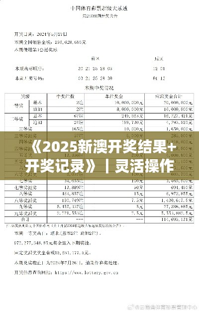 《2025新澳开奖结果+开奖记录》|灵活操作方案设计