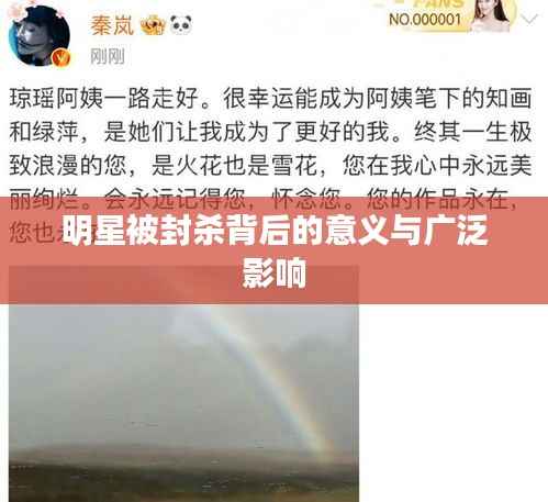 明星被封杀背后的意义与广泛影响