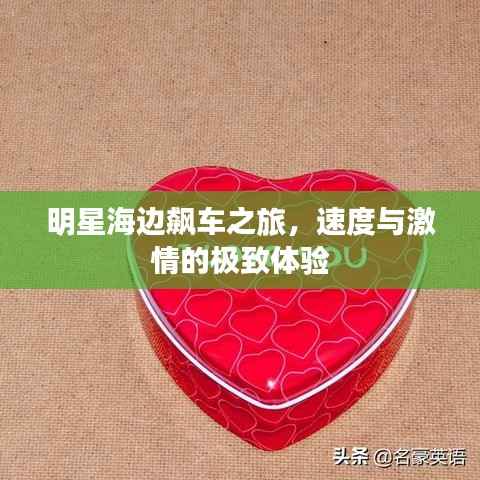 明星海边飙车之旅,速度与激情的极致体验