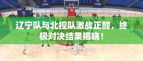 辽宁队与北控队激战正酣,终极对决结果揭晓!