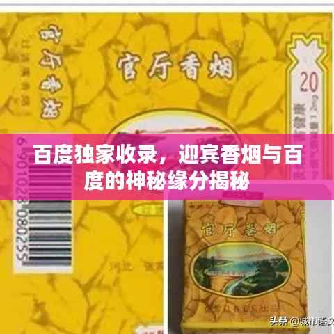 百度独家收录，迎宾香烟与百度的神秘缘分揭秘
