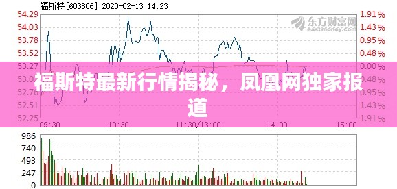 福斯特最新行情揭秘,凤凰网独家报道