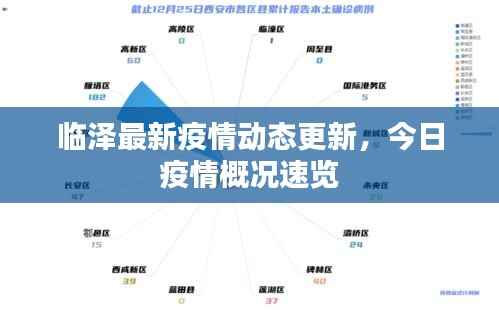 临泽最新疫情动态更新,今日疫情概况速览