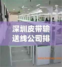 深圳皮带输送线公司排行榜及行业影响力解析