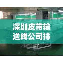 深圳皮带输送线公司排行榜及行业影响力解析