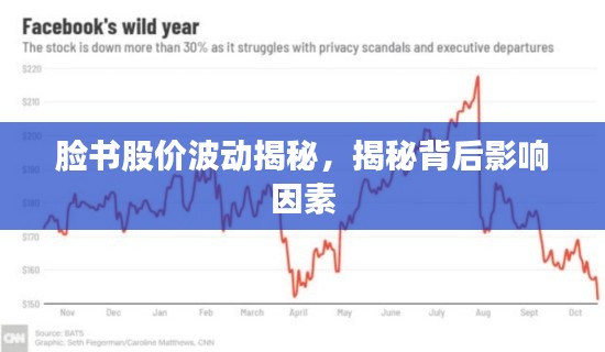 脸书股价波动揭秘,揭秘背后影响因素