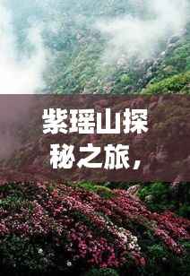 紫瑶山探秘之旅,绝美风光与实用攻略全掌握
