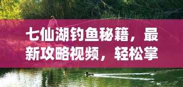 七仙湖钓鱼秘籍，最新攻略视频，轻松掌握垂钓技巧，尽享垂钓乐趣