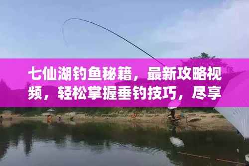 七仙湖钓鱼秘籍,最新攻略视频,轻松掌握垂钓技巧,尽享垂钓乐趣