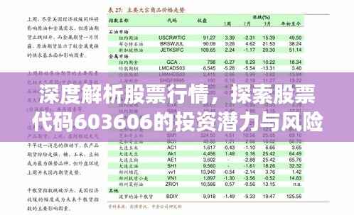 深度解析股票行情，探索股票代码603606的投资潜力与风险挑战