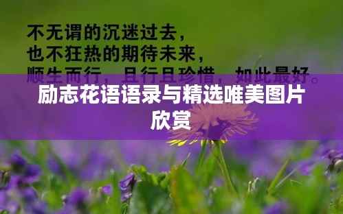 励志花语语录与精选唯美图片欣赏