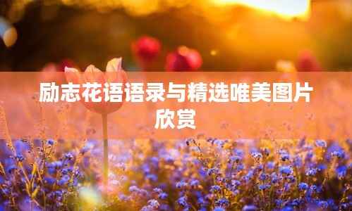 励志花语语录与精选唯美图片欣赏
