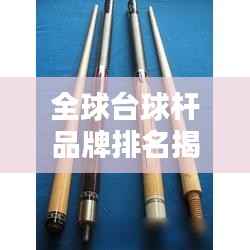 全球台球杆品牌排名揭秘,如何选择优质球杆的重要性