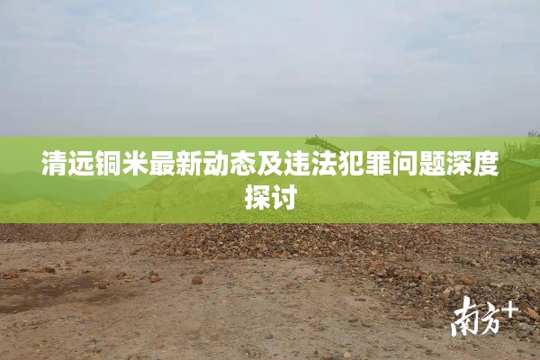 清远铜米最新动态及违法犯罪问题深度探讨