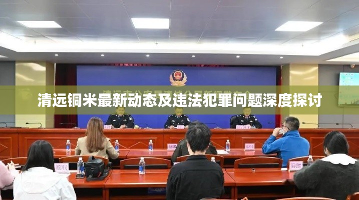 清远铜米最新动态及违法犯罪问题深度探讨