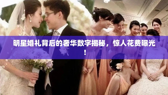明星婚礼背后的奢华数字揭秘,惊人花费曝光!