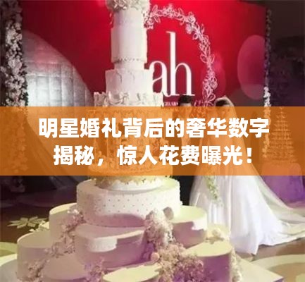 明星婚礼背后的奢华数字揭秘,惊人花费曝光!