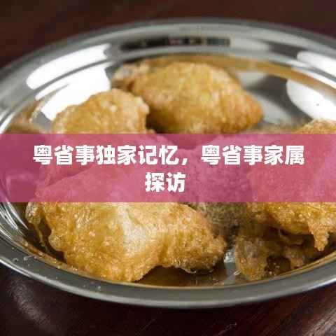 粤省事独家记忆,粤省事家属探访