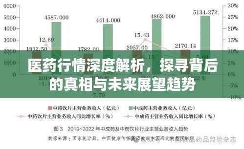 医药行情深度解析,探寻背后的真相与未来展望趋势
