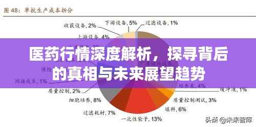 医药行情深度解析,探寻背后的真相与未来展望趋势