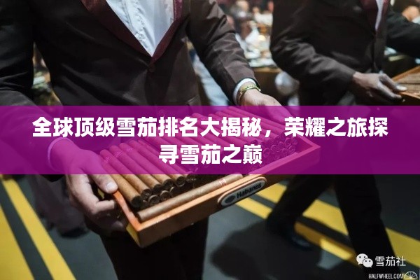 全球顶级雪茄排名大揭秘,荣耀之旅探寻雪茄之巅