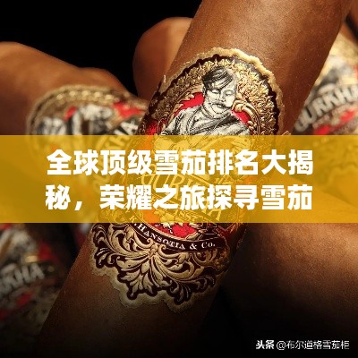 全球顶级雪茄排名大揭秘,荣耀之旅探寻雪茄之巅