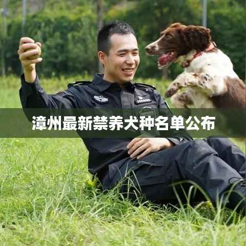 焚膏继晷 第5页