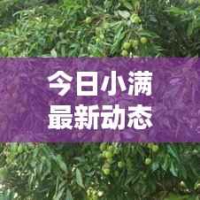 今日小满最新动态速递