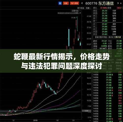 蛇鞭最新行情揭示,价格走势与违法犯罪问题深度探讨