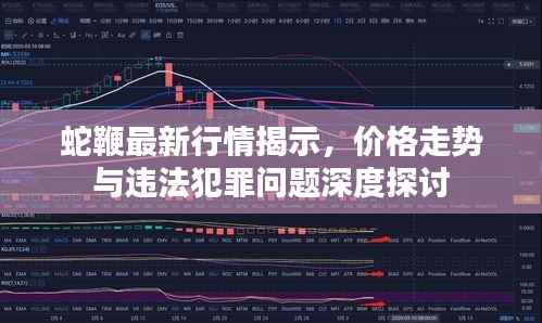 蛇鞭最新行情揭示,价格走势与违法犯罪问题深度探讨