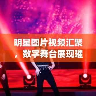 明星图片视频汇聚，数字舞台展现璀璨星光