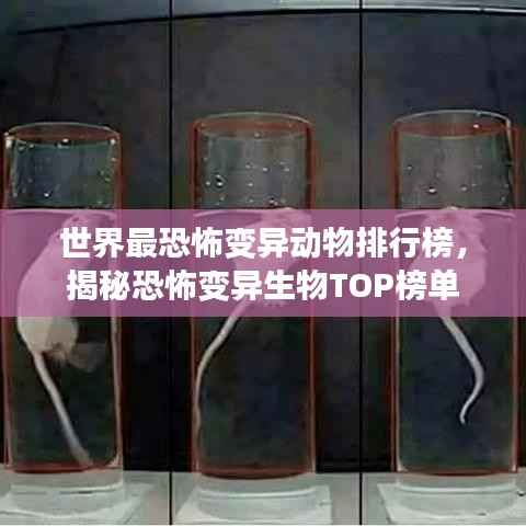 世界最恐怖变异动物排行榜,揭秘恐怖变异生物TOP榜单
